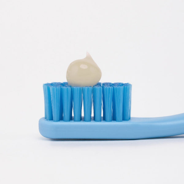 Promis brush single - Image 5