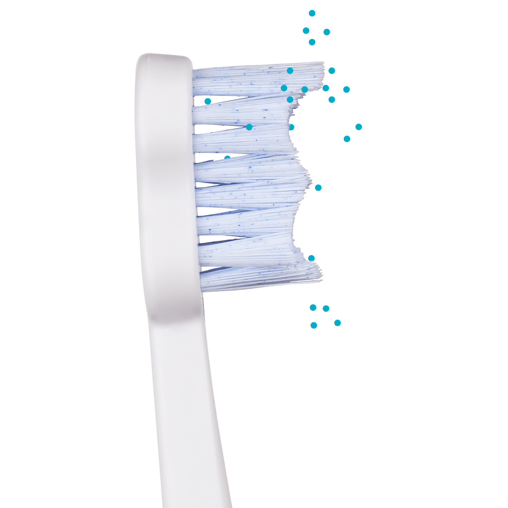 White Polish Brush Sonic Heads - Image 2
