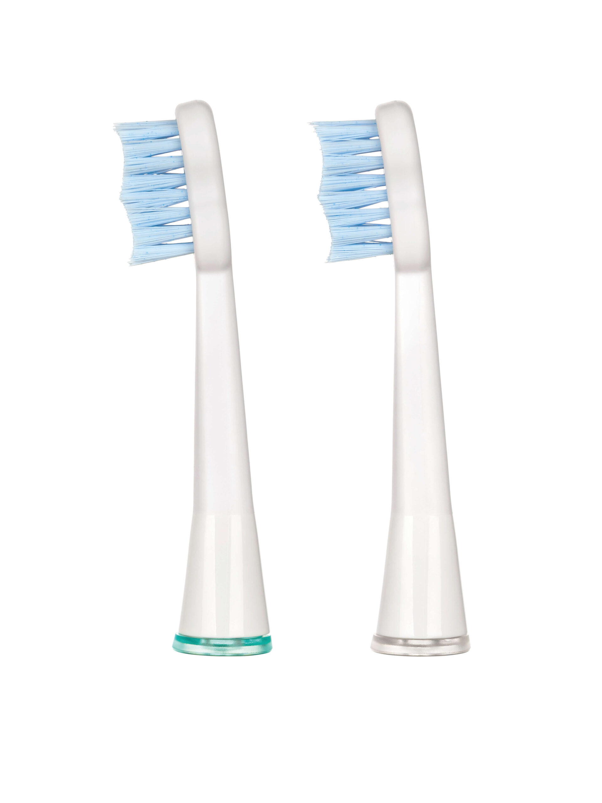 White Polish Brush Sonic Heads - Image 3